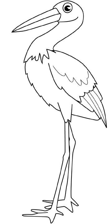 stork