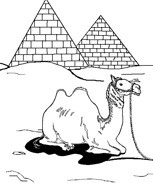 a camel in front of two pyramids