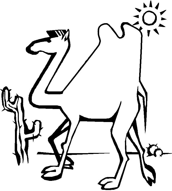 camel in the desert with the sun