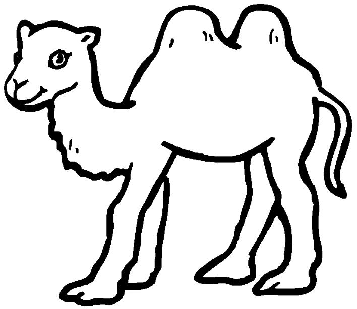 camel to be colored