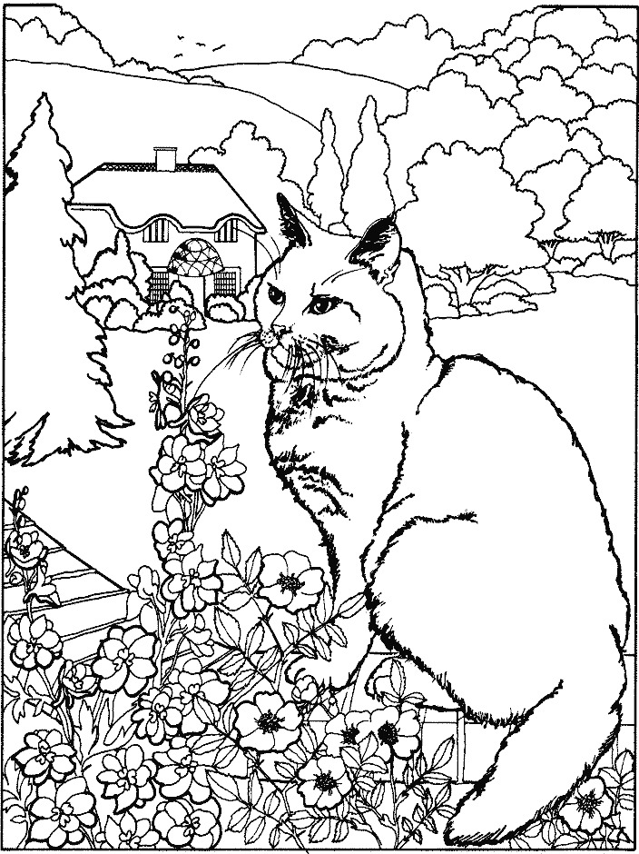 Coloring Cat with some flowers picture