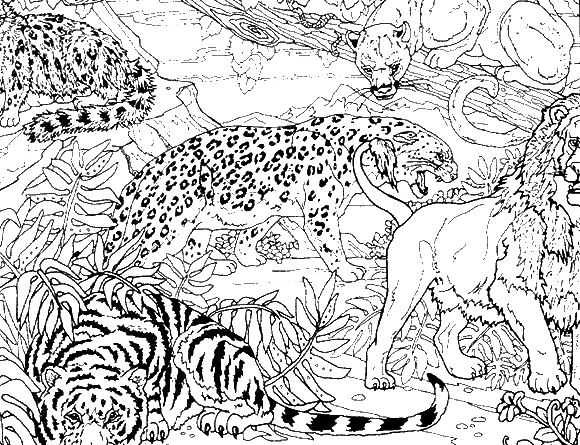 a cheetah a tiger a puma and a lion in the jungle
