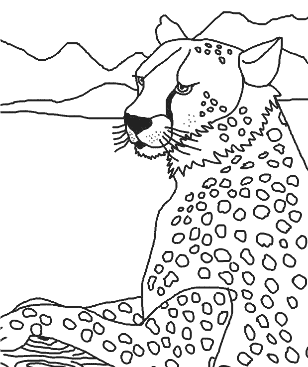 bust of a cheetah