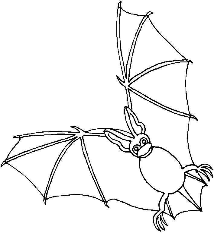 Bat