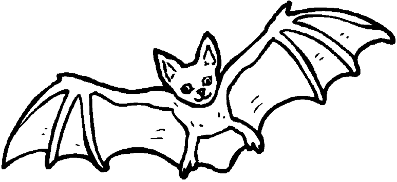 bat is flying in sky