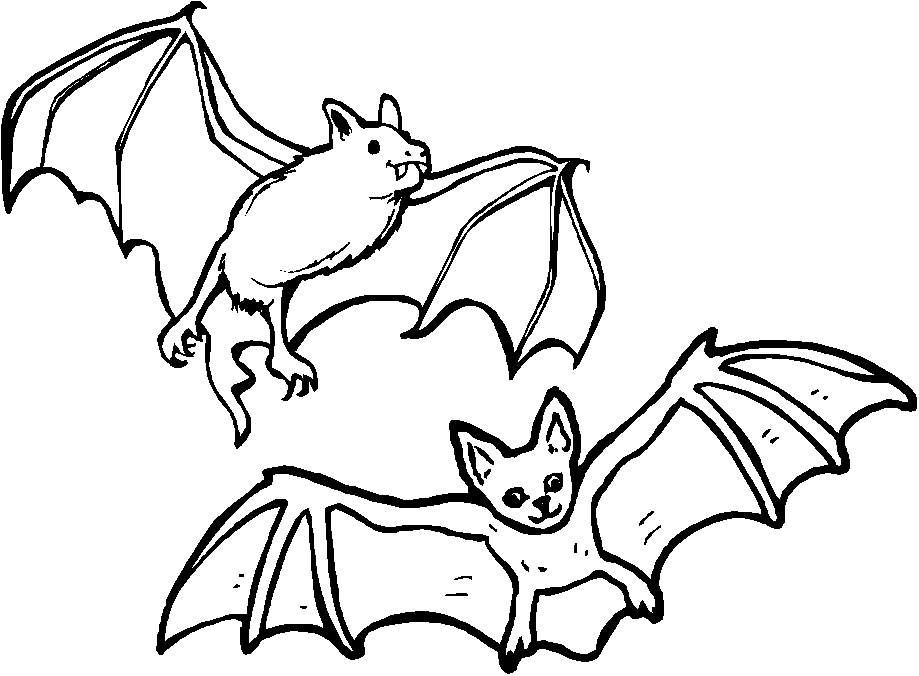 two bats