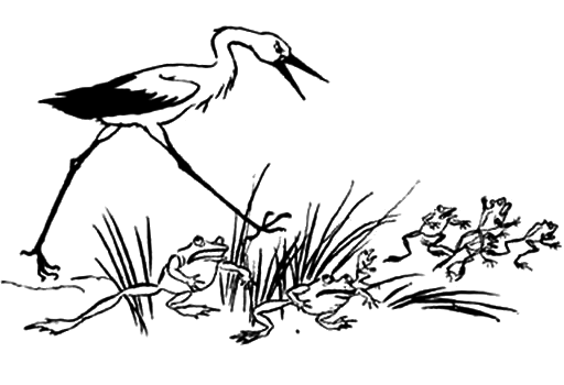 a stork pursues frogs