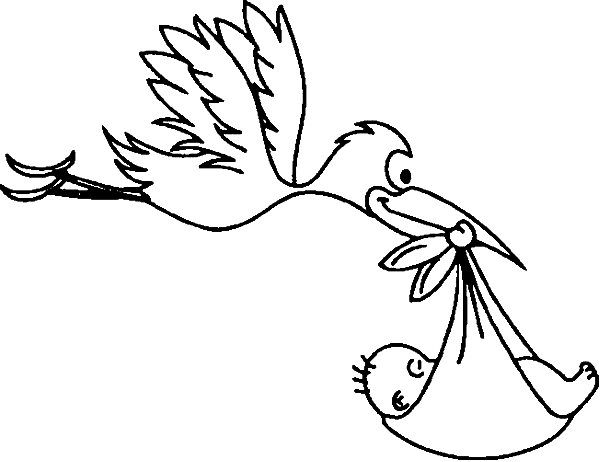a stork which brings a baby