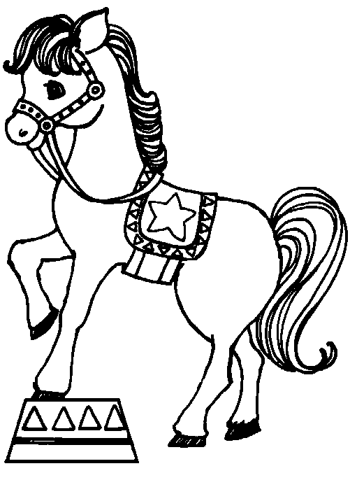 circus horse