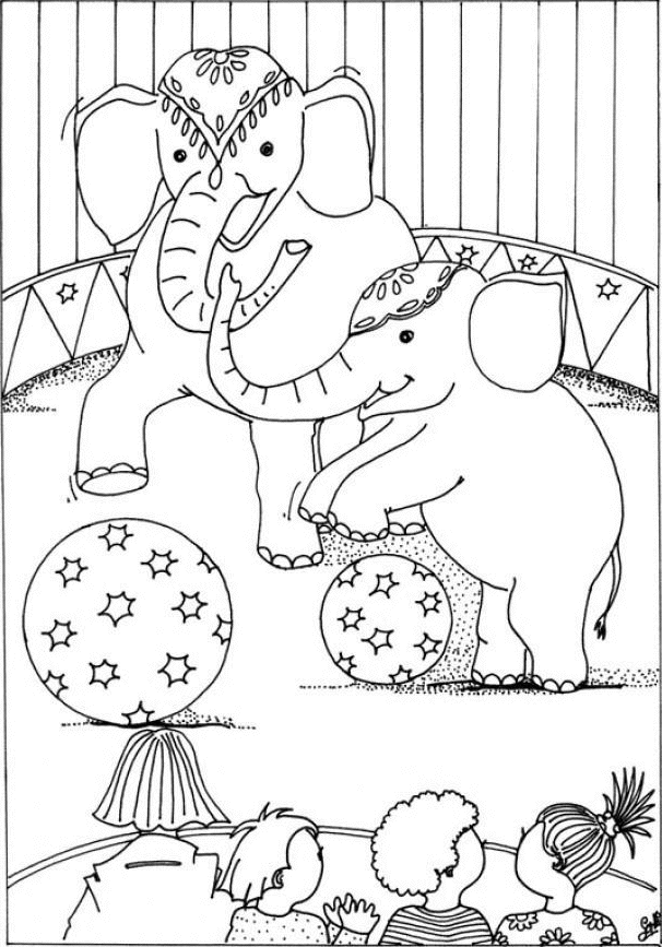 elephants with balls