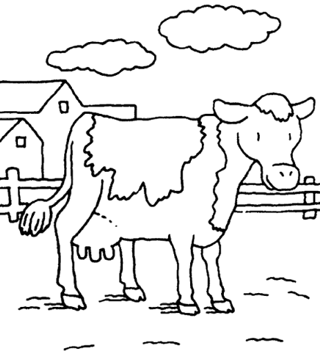 cow farm