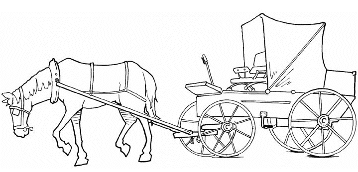 horse and carriage