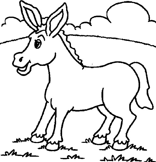 a donkey in a pasture