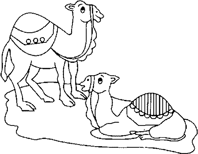 a sitted dromedary and another which is upright