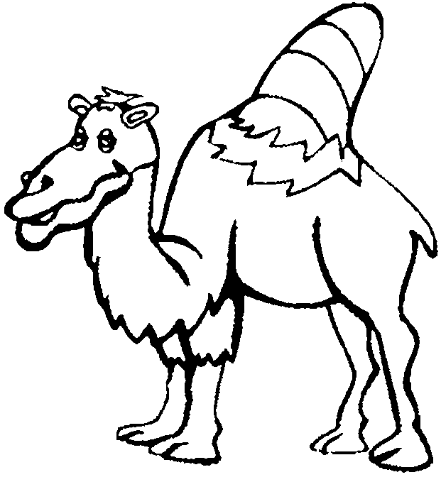 picture of dromedary