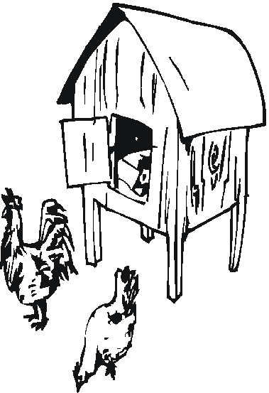 chicken coop