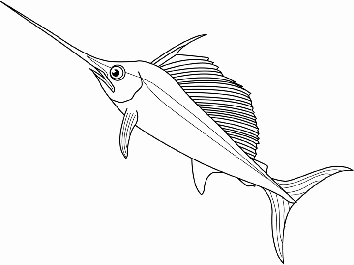 swordfish