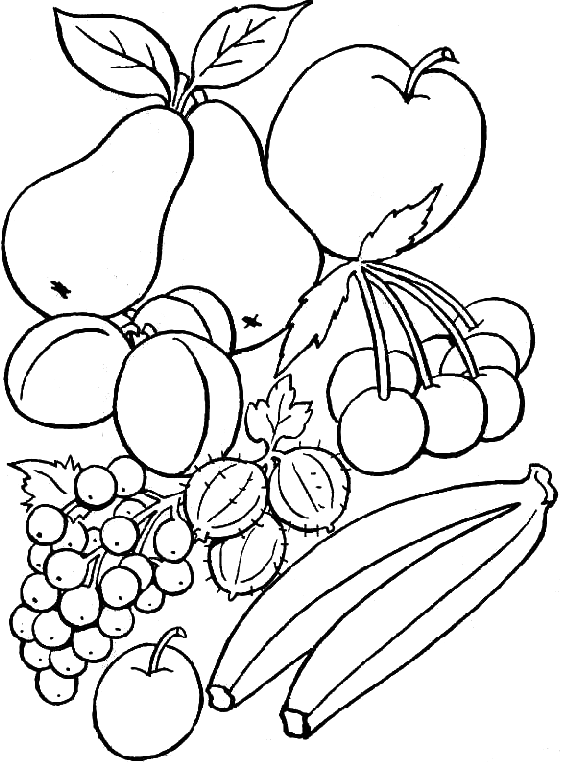 Basket of fruits