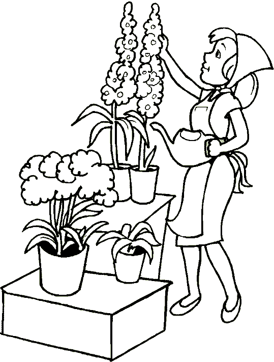 The florist waters her flowers