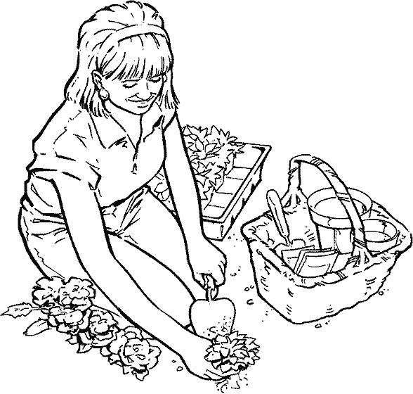 a woman plants flowers