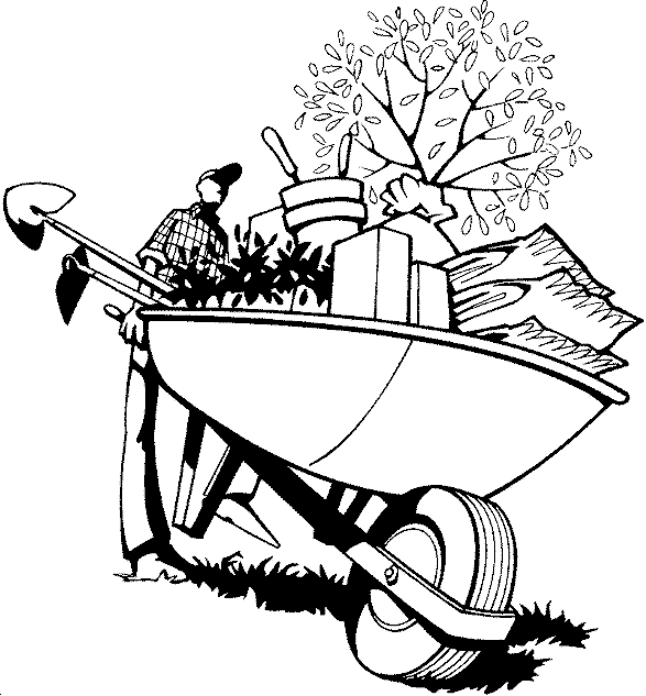 wheelbarrow of the gardener with plants