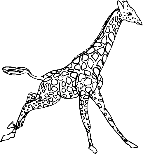 giraffe runs