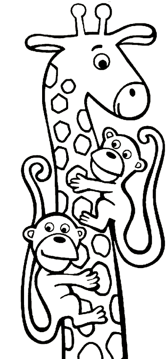 giraffe with two monkeys
