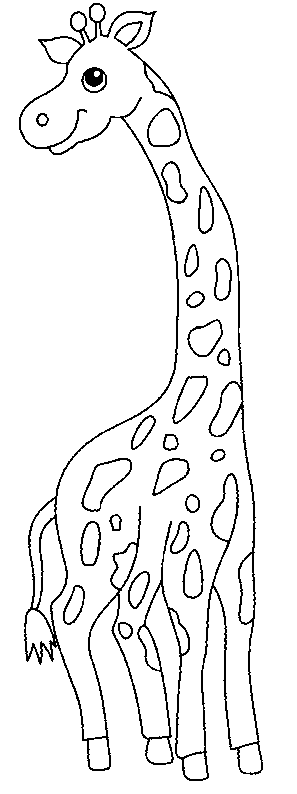 picture giraffe