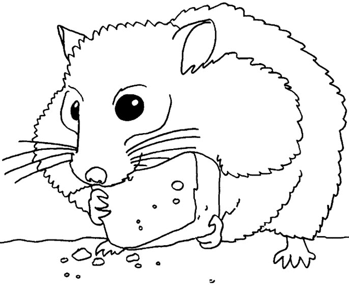 a hamster which eat cheese