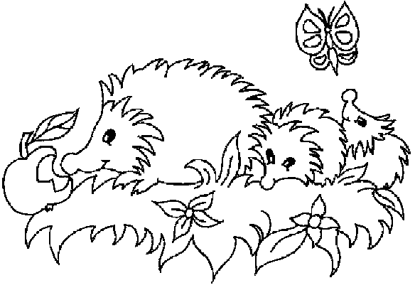 hedgehog family with a butterfly
