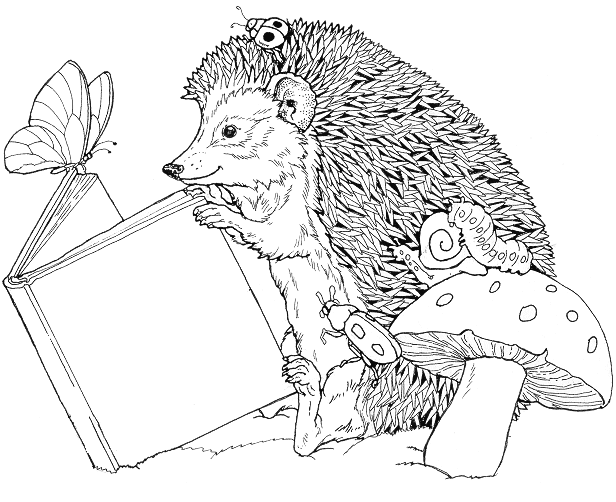 hedgehog read a book