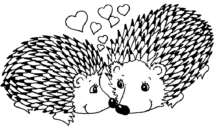 hedgehogs and love
