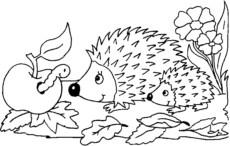 two hedgehogs with an apple