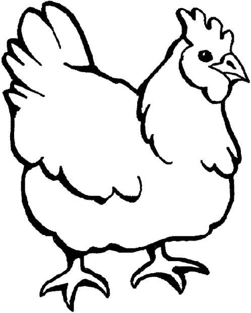 A chicken