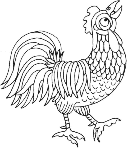 cock