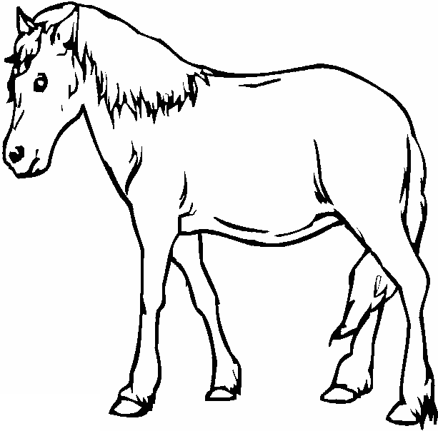 horse 2