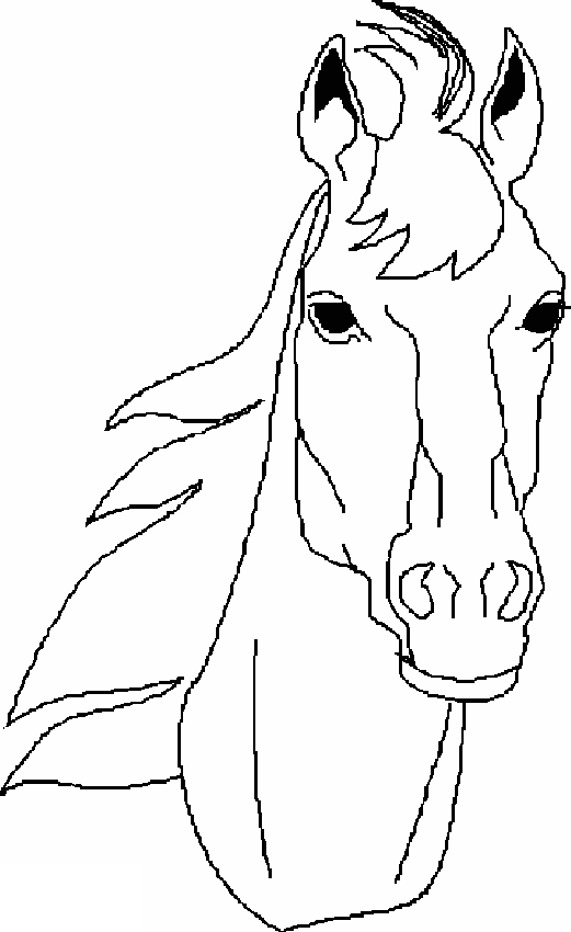 horse s head