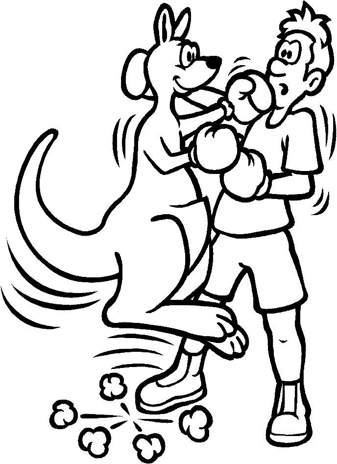 a kangaroo fights against a boxer