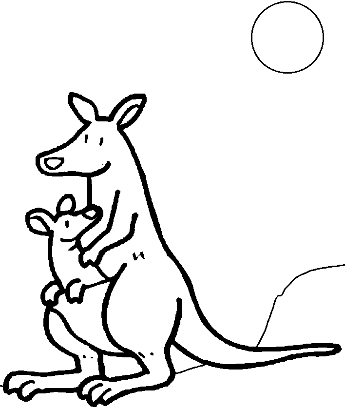 kangaroo with baby and sun
