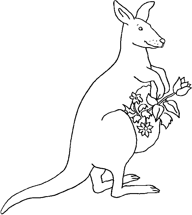 kangaroo with some flowers