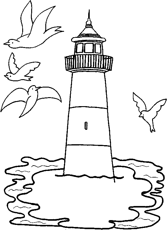 gulls fly around the lighthouse