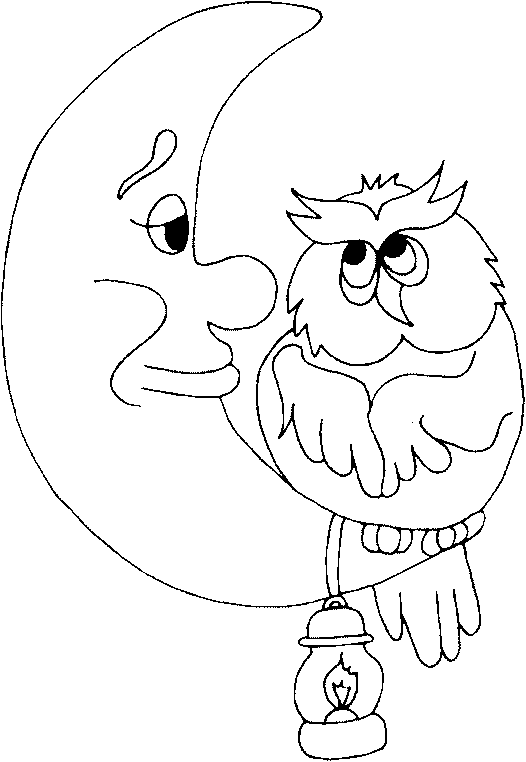 an owl on a Moon s crescent