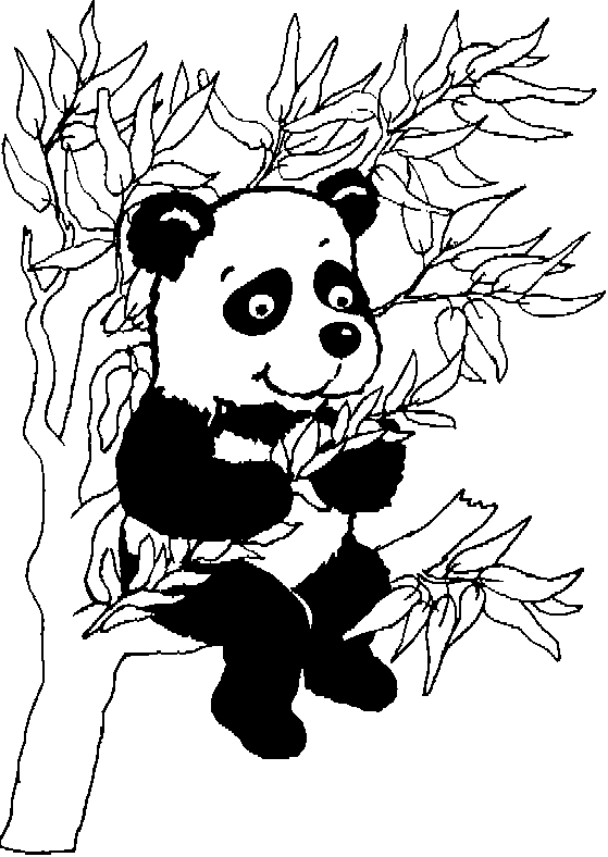 a panda in a tree