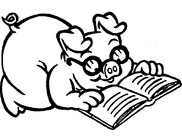 pig which reads a book