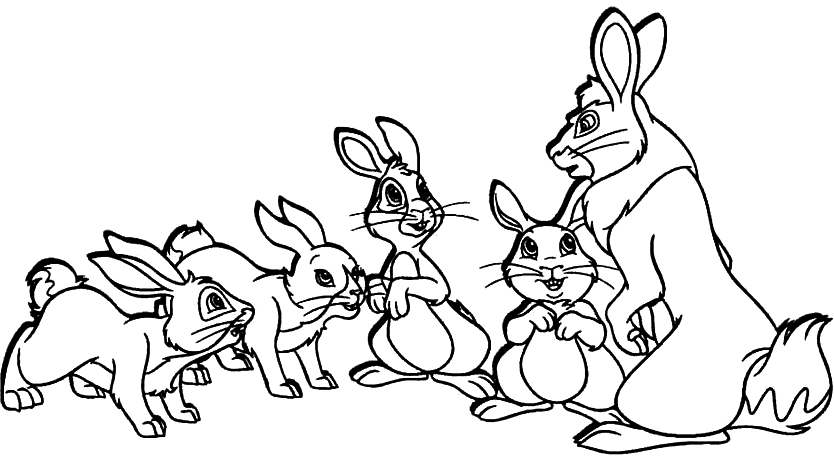 a family of rabbits