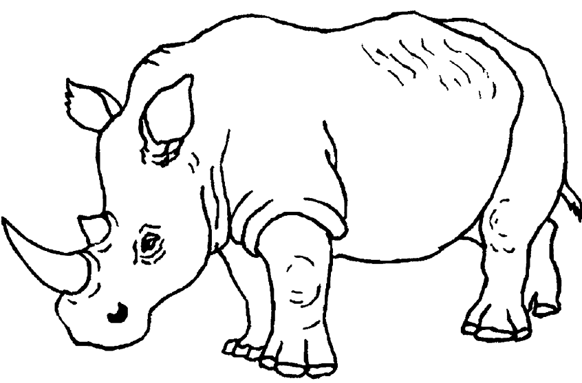 coloring picture of rhinoceros