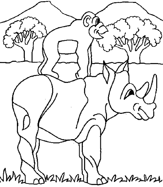 monkey on a rhinoceros