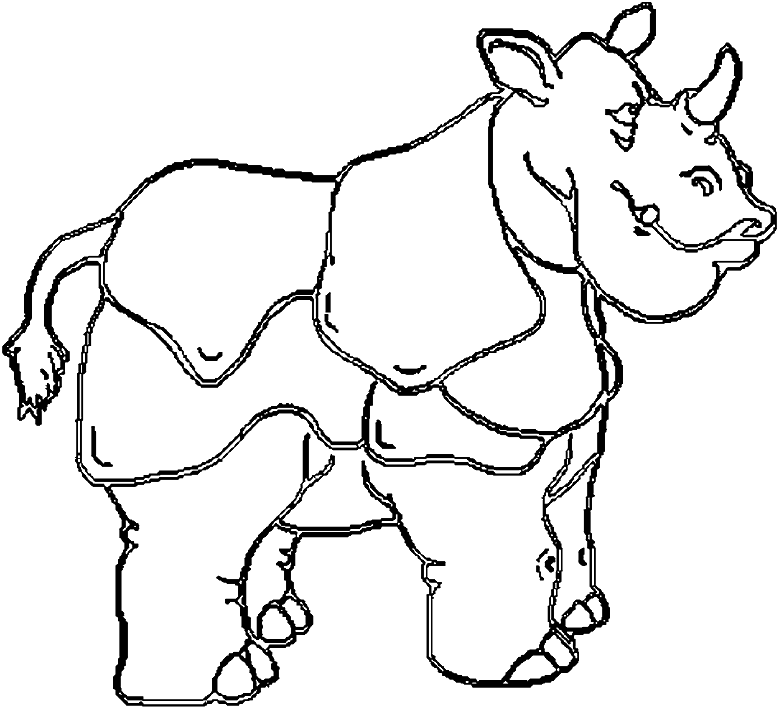 picture of rhinoceros