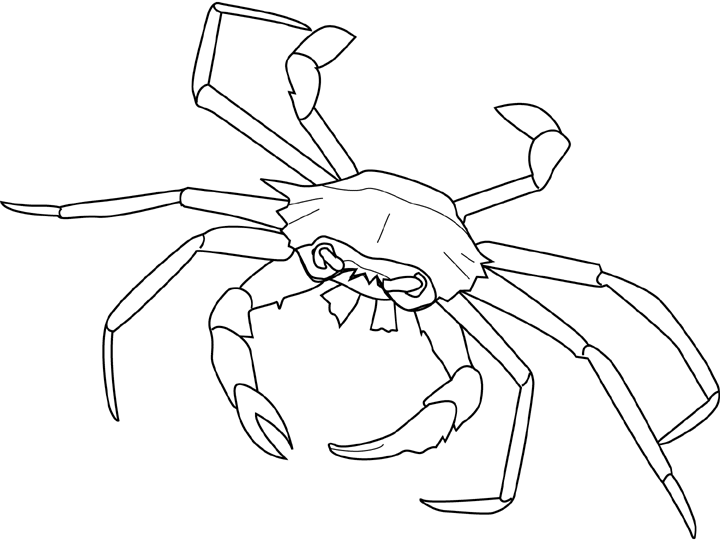 Coloring Crab Picture Coloring Crab Picture
