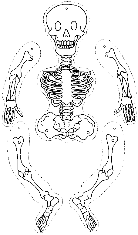 a skeleton to be cut out